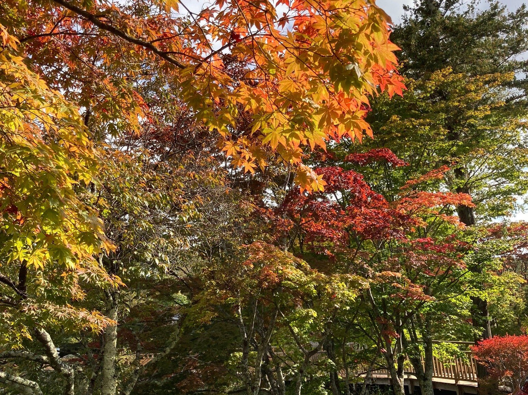 Tateshina Lake-茅野市必去景点