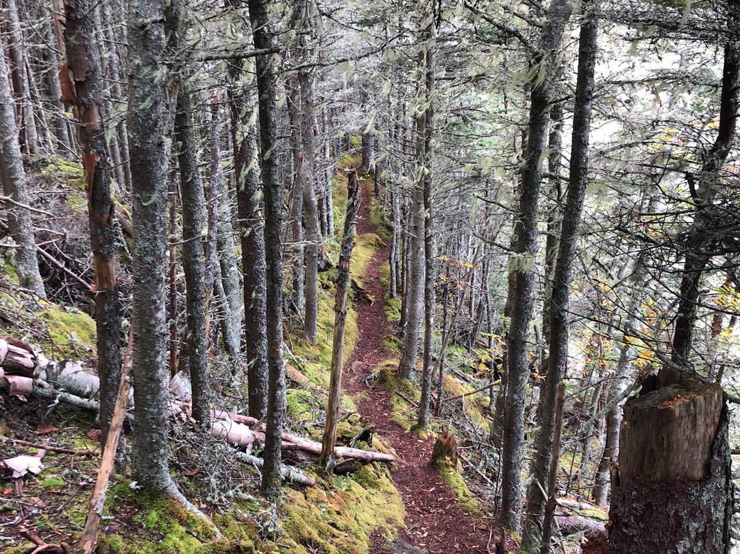 Western Head Preserve Cutler Maine景点图片