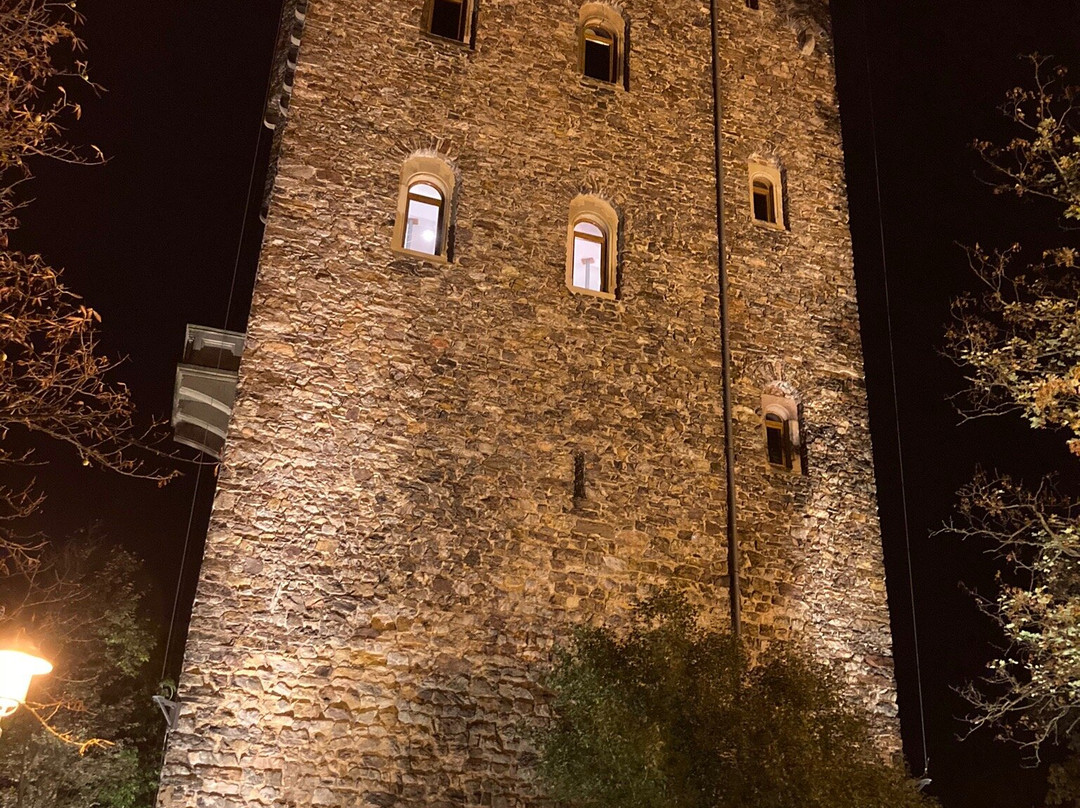 Burg Klopp景点图片