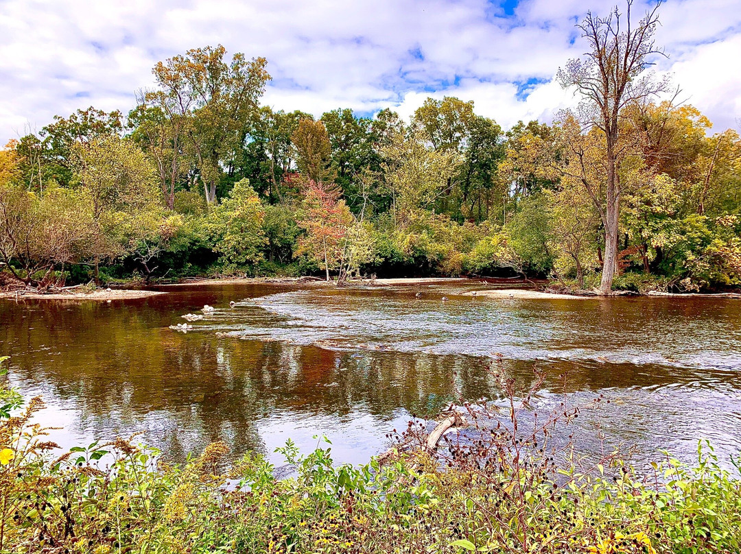 Nichols Arboretum-安娜堡必去景点