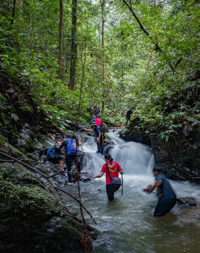 Ulu Temburong National Park景点图片