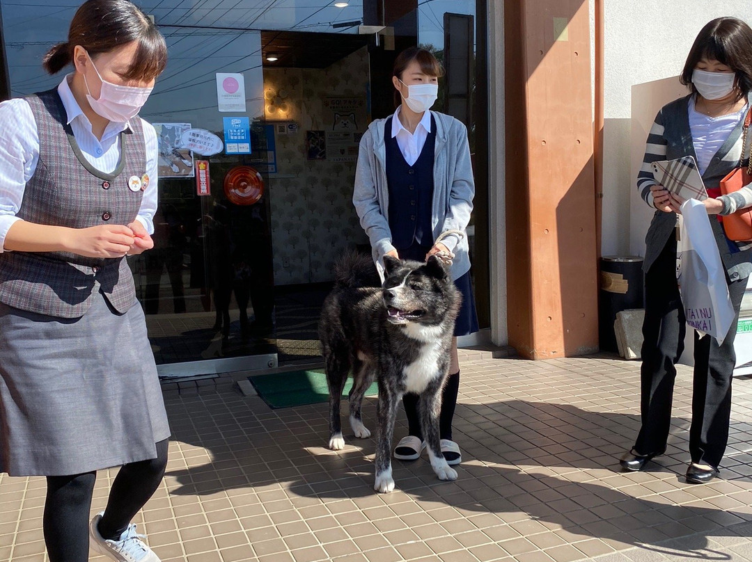 Akitainu Hall-大馆市必去景点