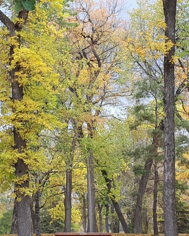 St Vital Park-温尼伯必去景点