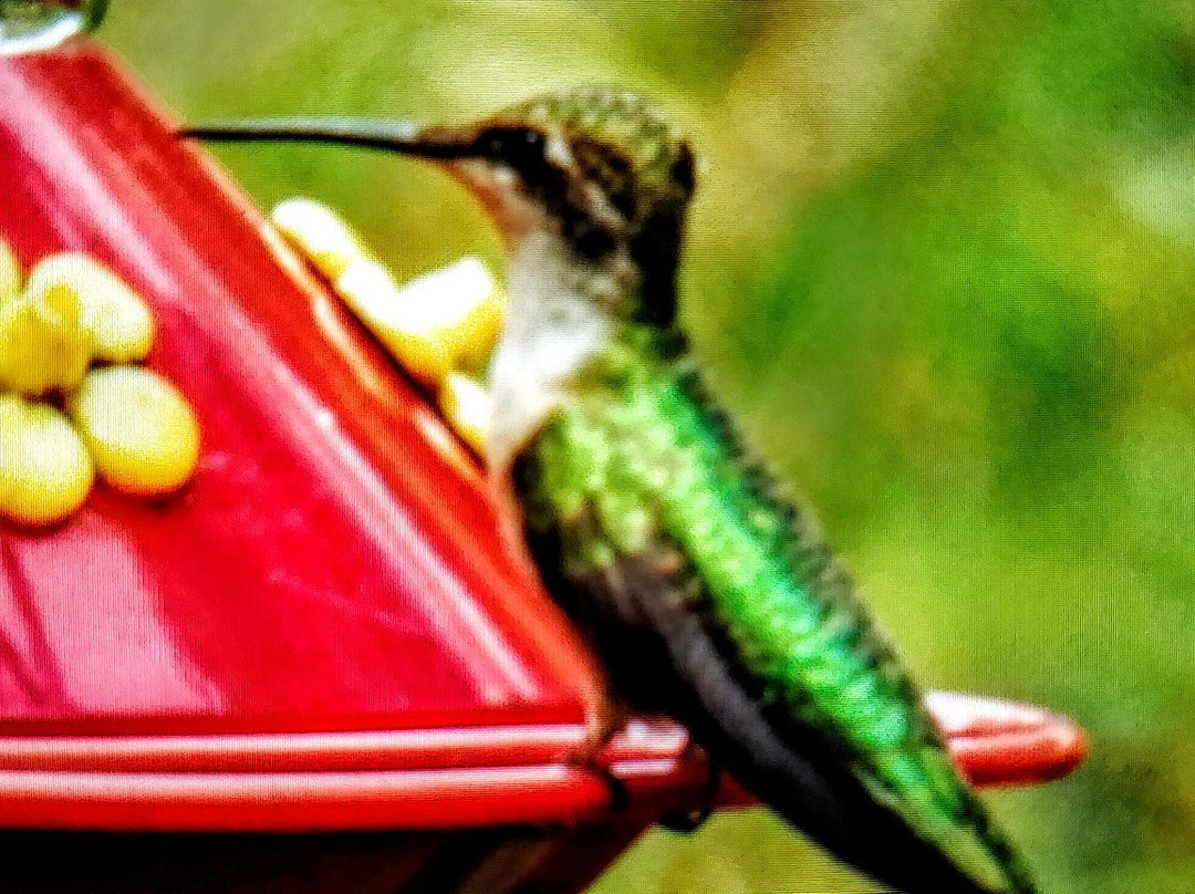 Woodlands Nature Station-Cadiz必去景点
