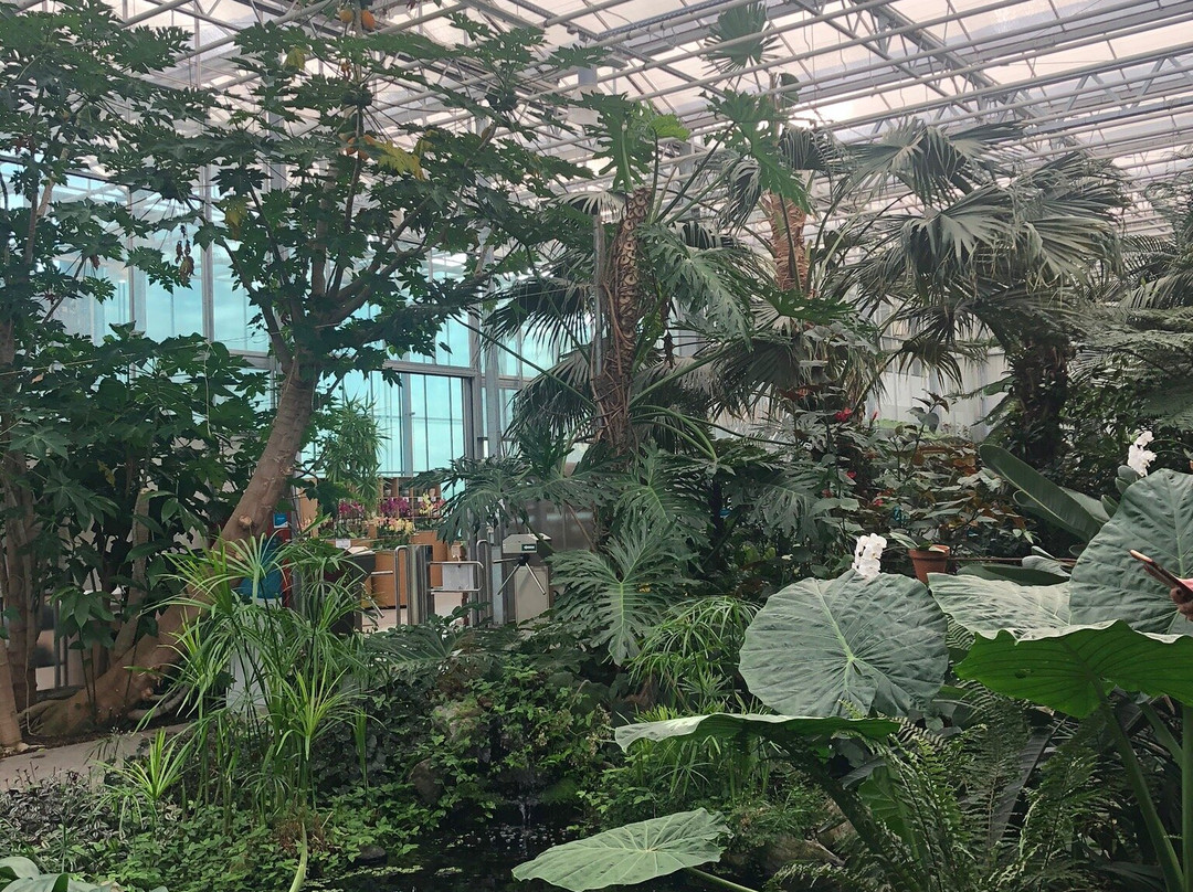 Tropical Garden Slovenia景点图片