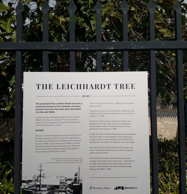 The Leichhardt Tree景点图片