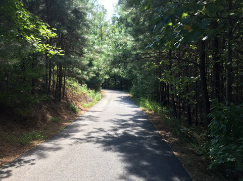 Peachtree Ridge Park-苏万尼必去景点