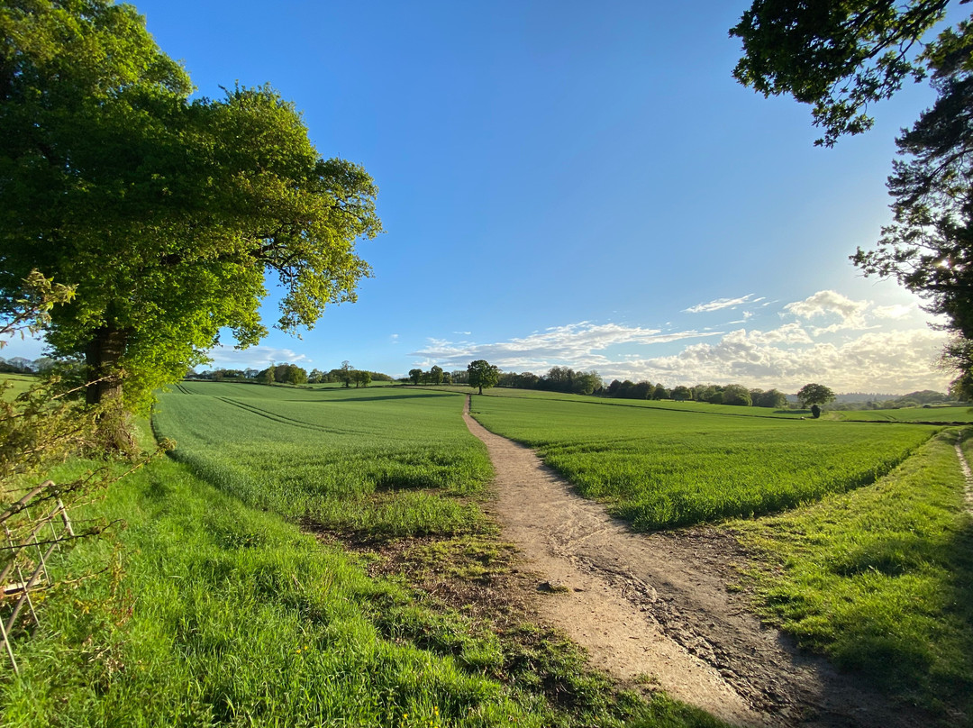 Surrey Hills Cycle Hire景点图片