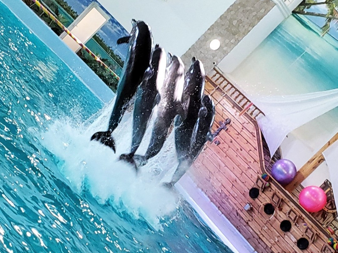 Dolphinarium Oskar-特鲁斯卡韦茨必去景点
