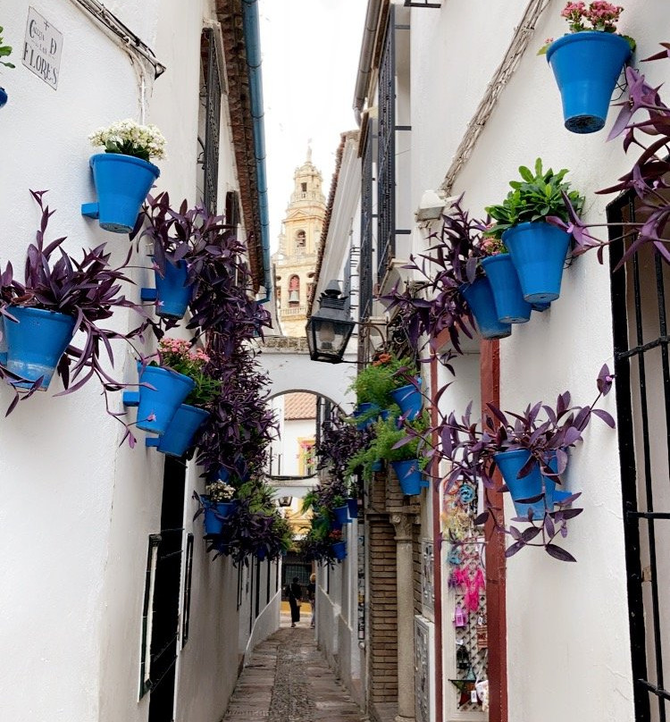 Konexion Tours-科尔多瓦必去景点