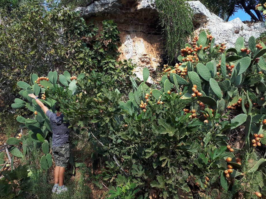 Oasi Mirko Variato in Lama San Giorgio-Triggiano必去景点