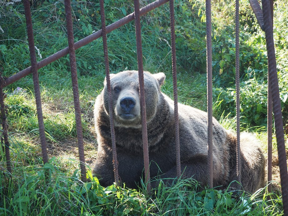 Bärenhof-Berghausen必去景点