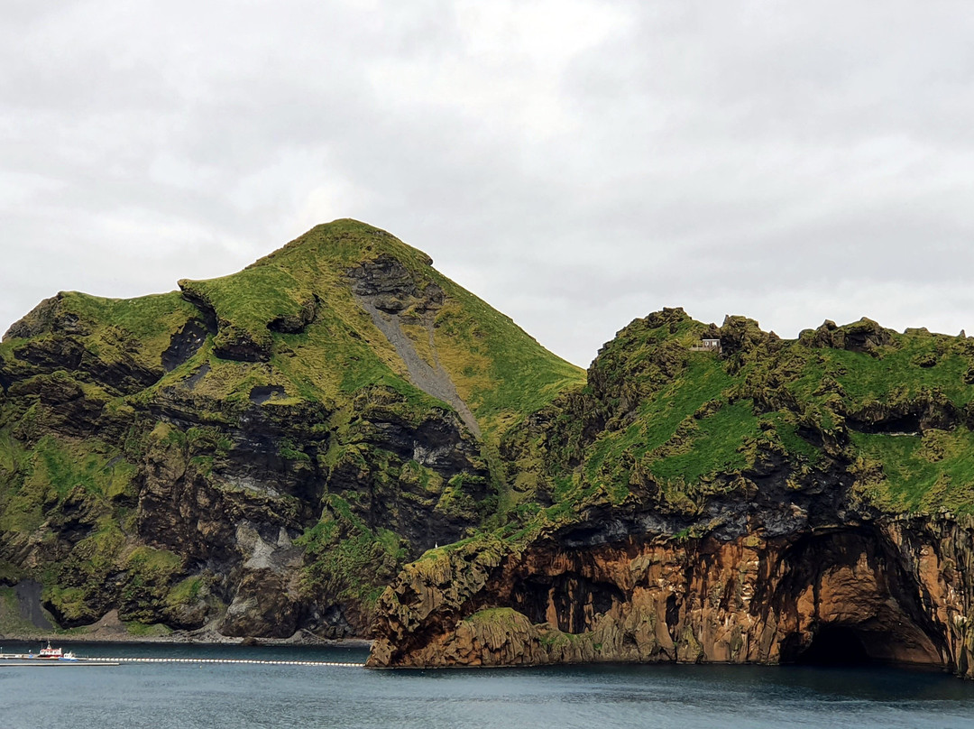 Viking Tours-韦斯特曼纳群岛必去景点