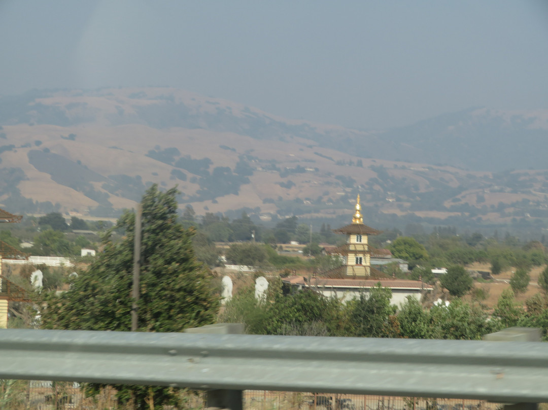 Tam Tu Metta Buddhist Temple & Heritage Garden景点图片