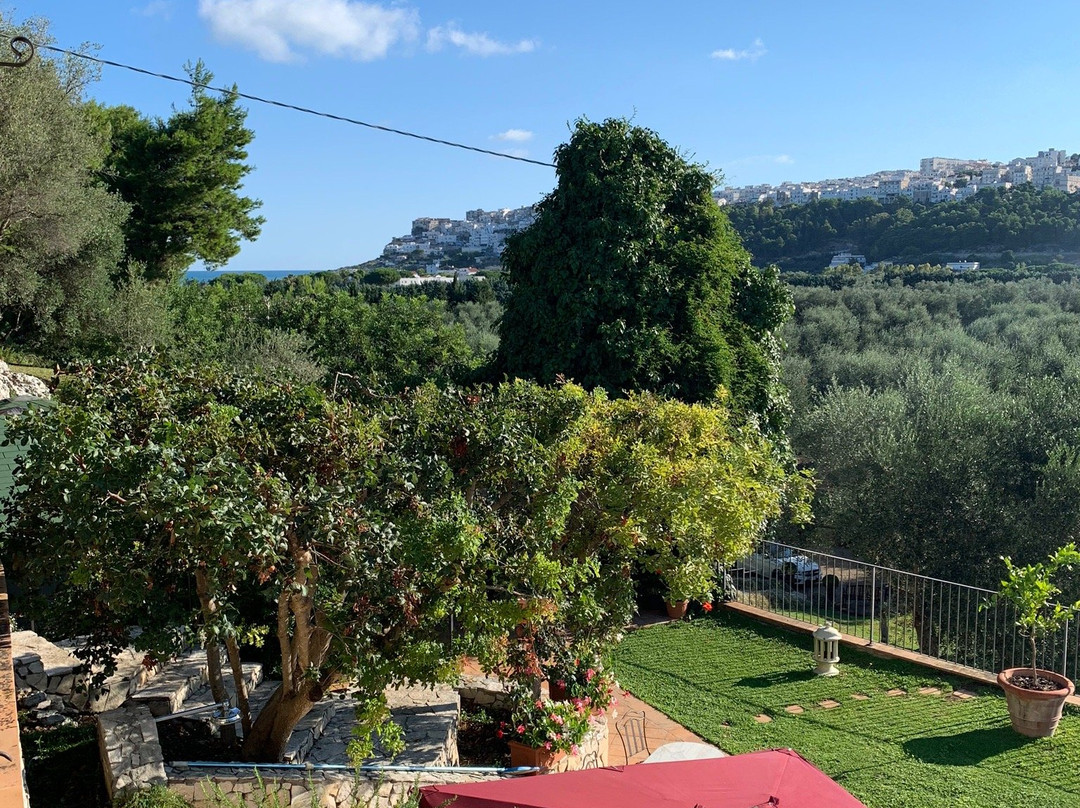 马塞里亚齐萨摩尔乡村民宿主图