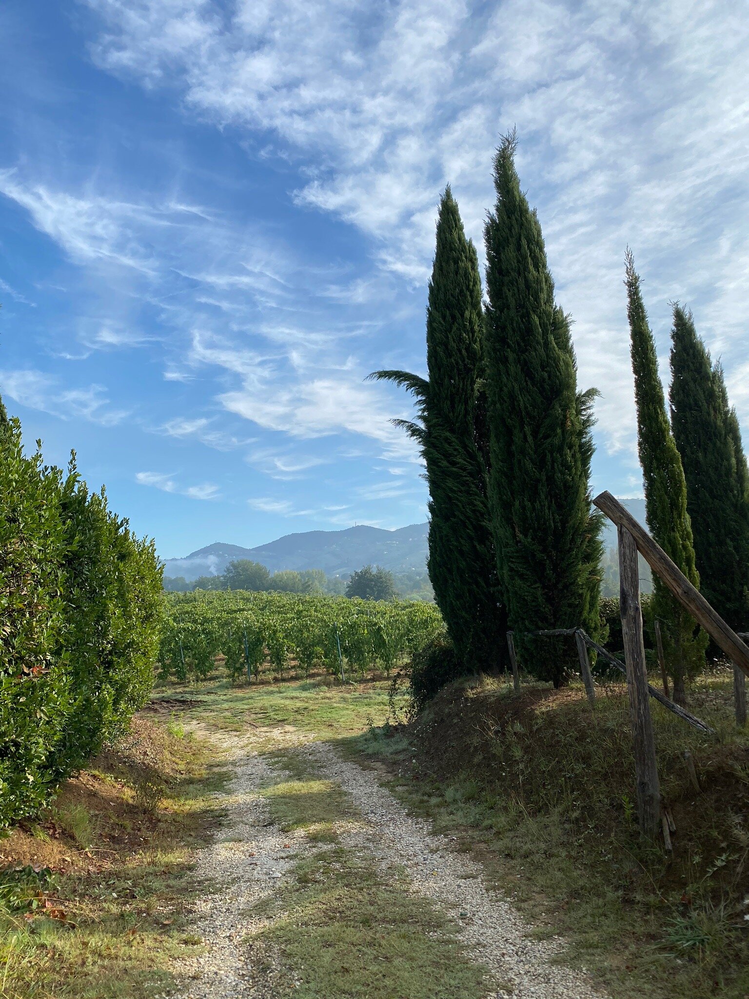 Palma's Country B&B-官方