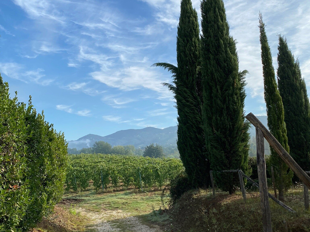 Palma's Country B&B主图