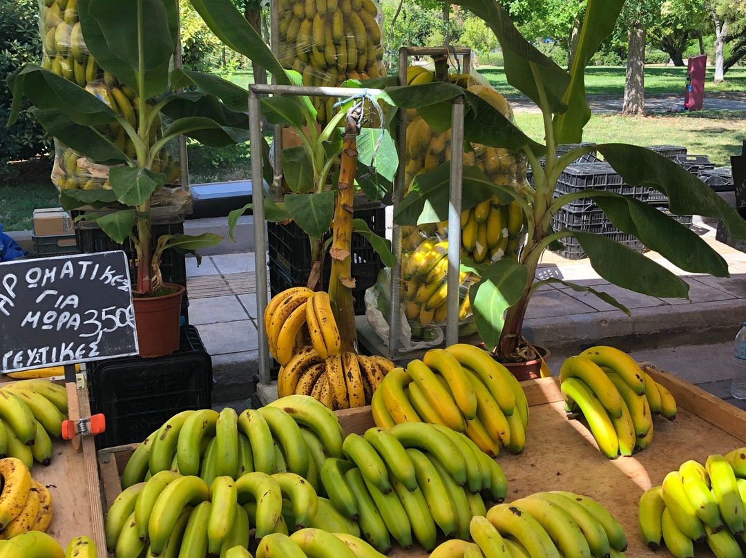 Margo wine routes-雅典必去景点