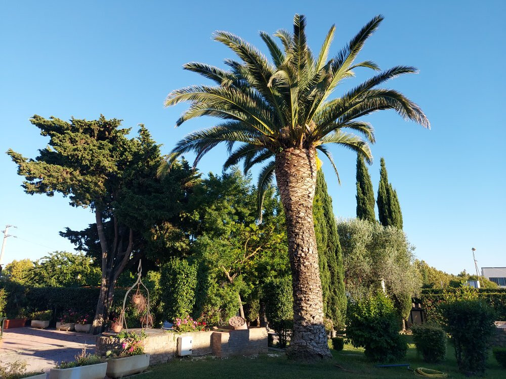 Agriappartamenti Borgo Guglielmo主图