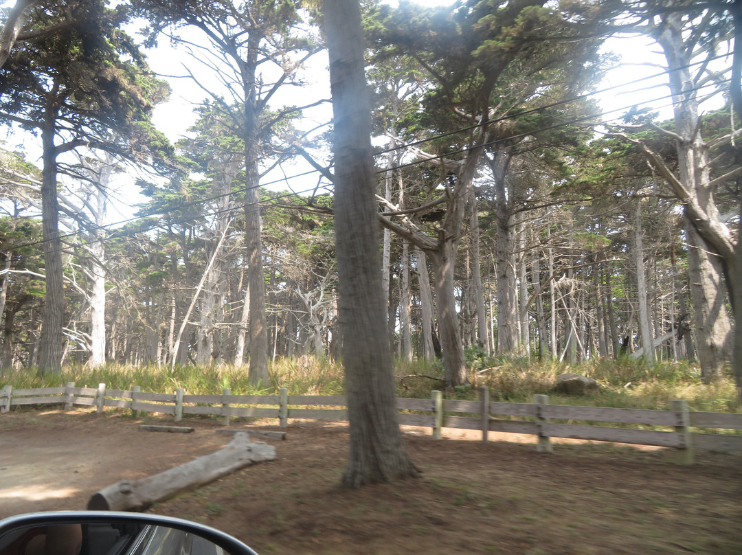 Crocker Grove-圆石滩必去景点