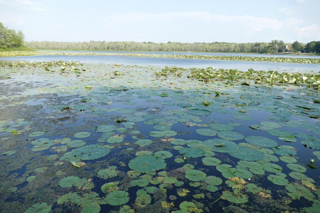 Bass Lake Preserve-Chardon必去景点