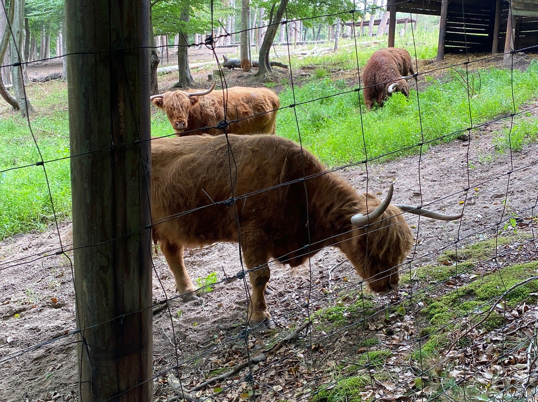 Wildpark Wadgassen-Differten-Wadgassen必去景点