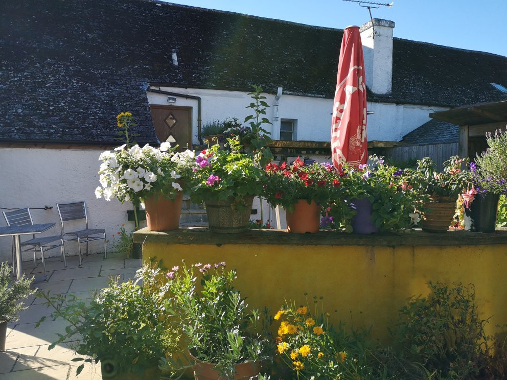 Harberton旅游攻略图片