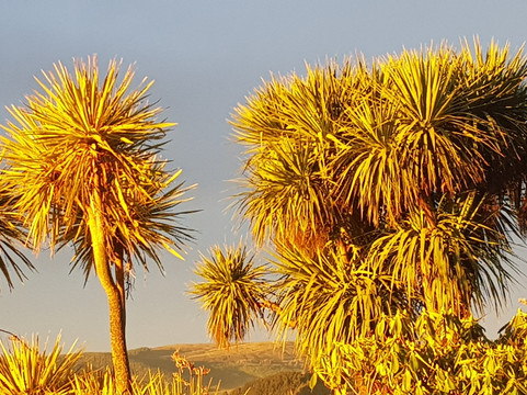 Central Otago Town-克伦威尔镇必去景点