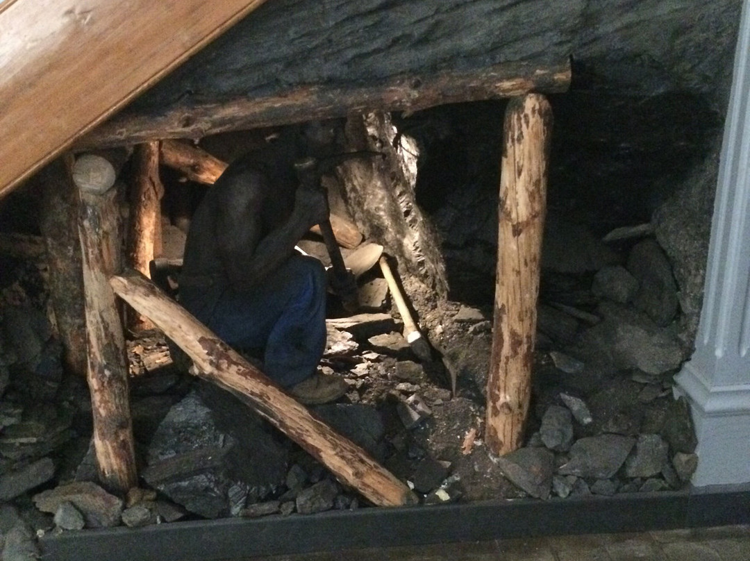 Musee d'Histoire Naturelle de Lille-里尔必去景点