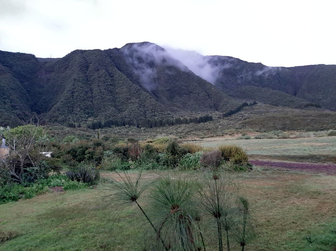 L'Arum des Prairies主图