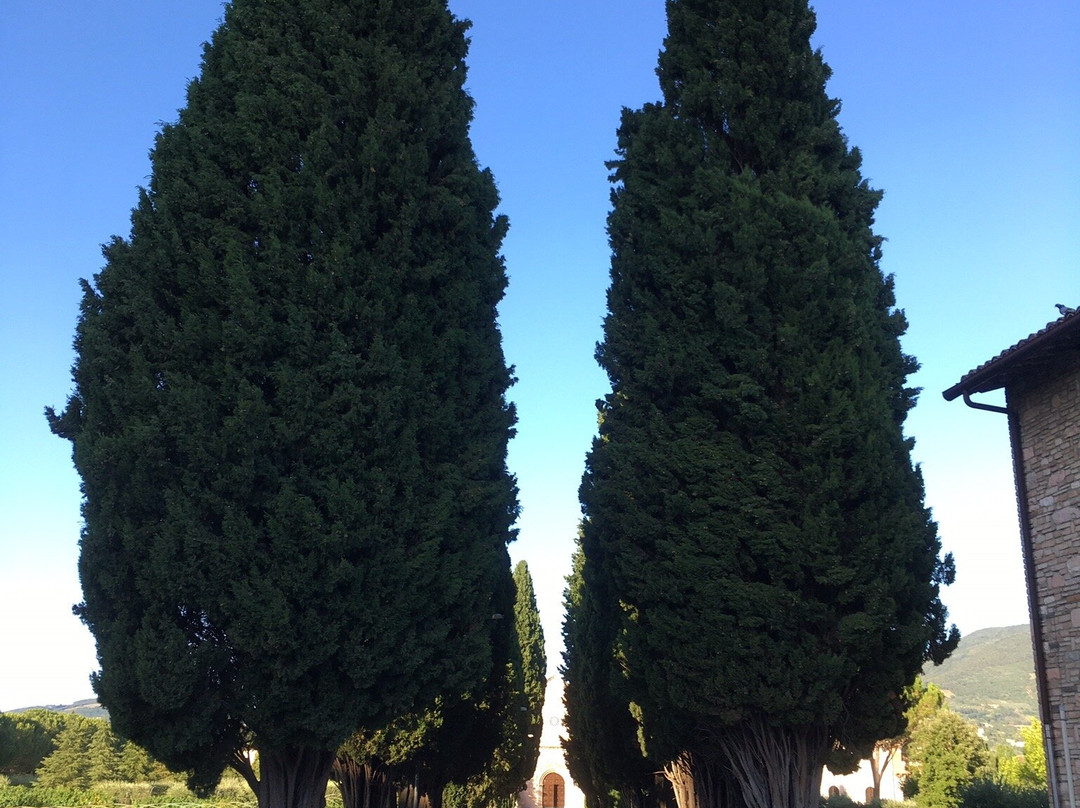 Chiesa Santa Maria delle Rose - Mostra d’Arte Sacra Contemporanea-阿西西必去景点