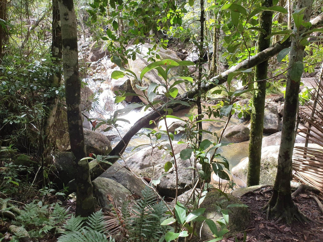 Finch Hatton Gorge景点图片
