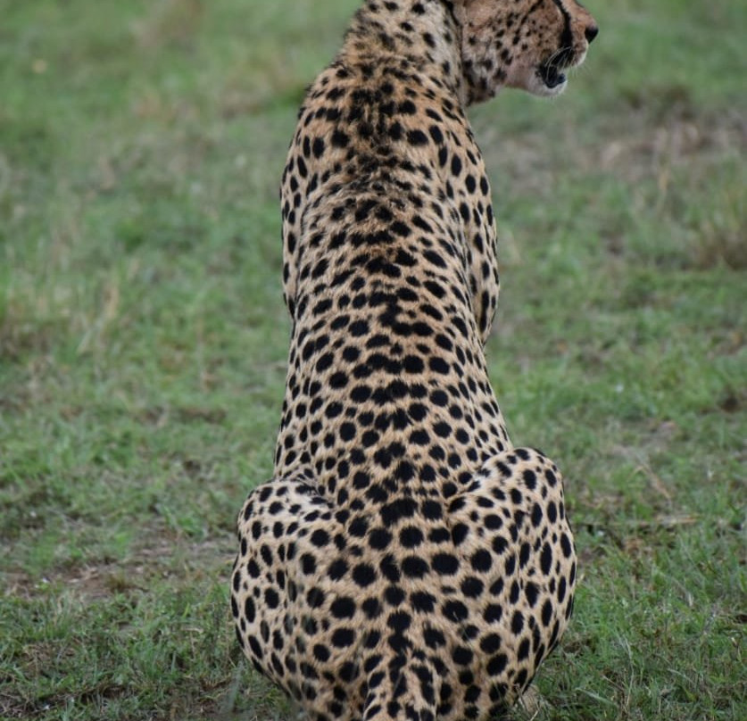 African Guide-瓦塔木必去景点