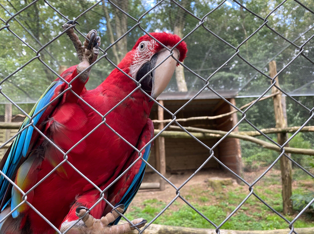 Parc Animalier Saint Martin景点图片