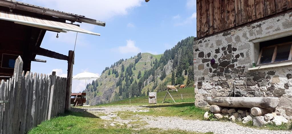 Escursione sul Sentiero Geologico alla Malga Prossliner景点图片