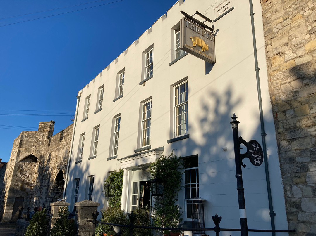 THE PIG-in the Wall主图