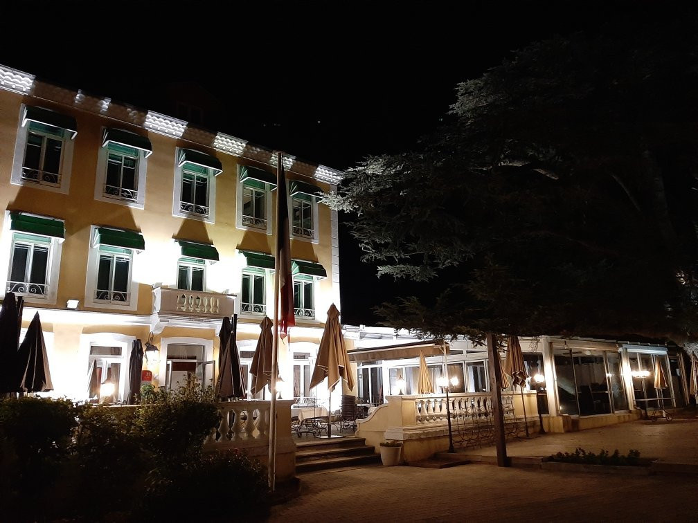 Logis Hôtel le Cèdre de Soyons主图