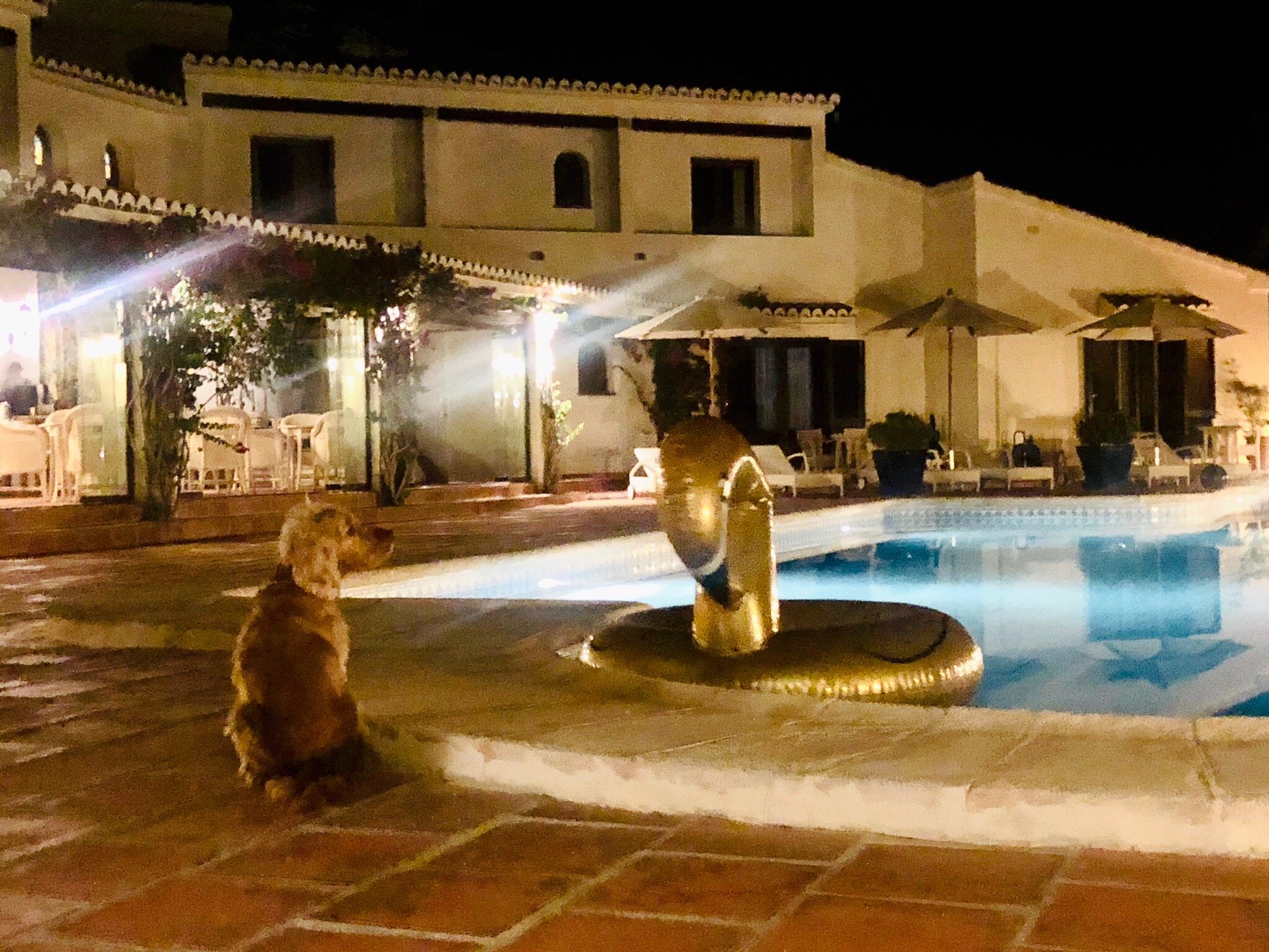 Hotel La Madrugada-官方