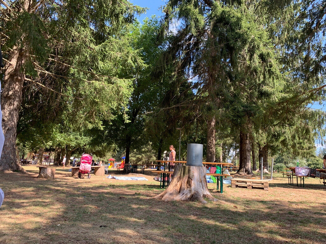 Altipiani Adventures Park景点图片