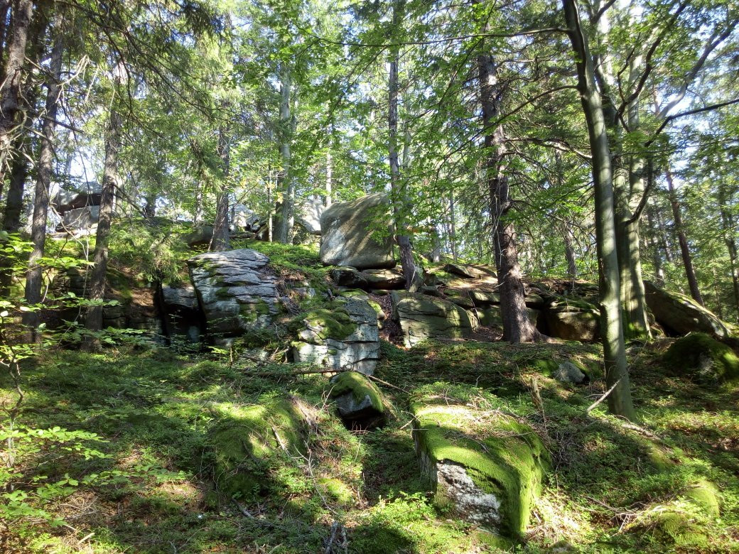 Złoty Widok Michałowice景点图片