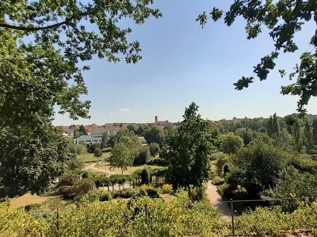 Strecktal Park景点图片