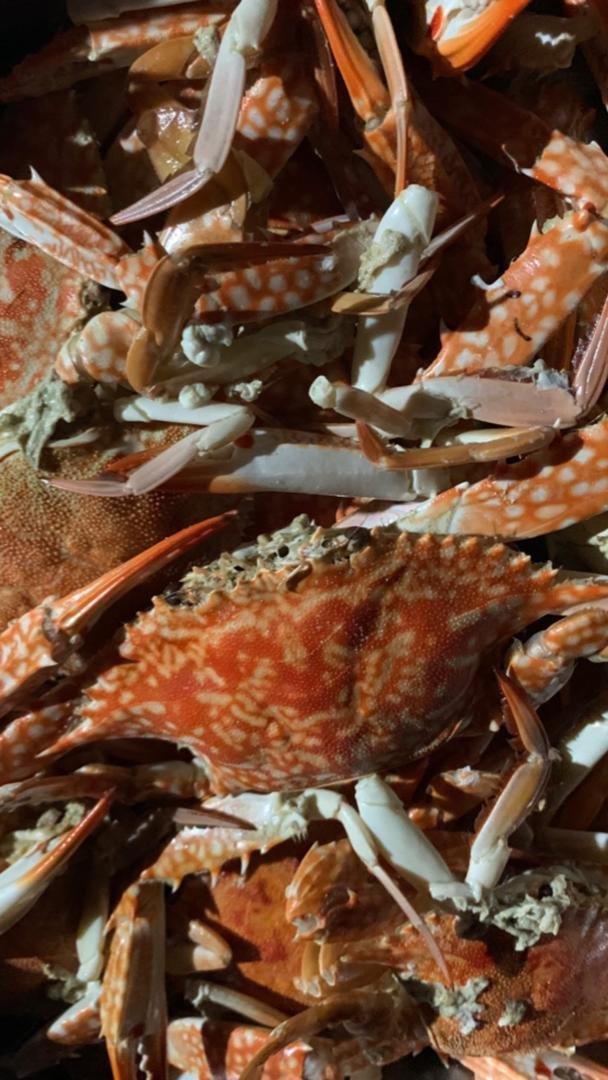 Maglami-lami Water House-餐饮