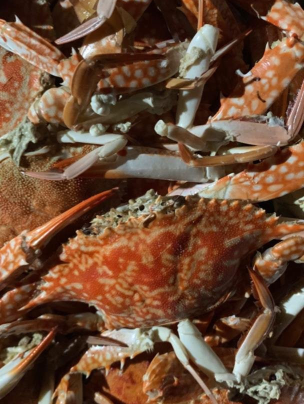 Maglami-lami Water House主图