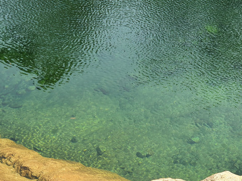 ig Crystal Creek (Paradise Waterhole)-Paluma必去景点