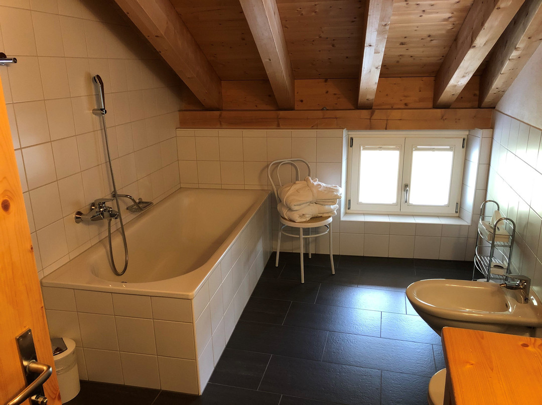 Gasthaus & Hotel Berninahaus主图