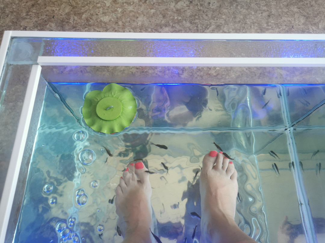 Fish Massage Marseillan Plage景点图片
