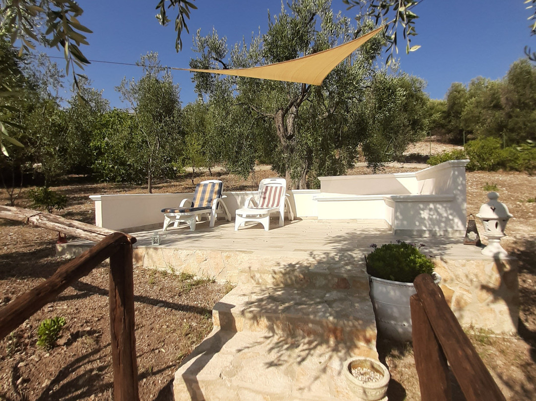 B&B Borgo Degli Ulivi主图