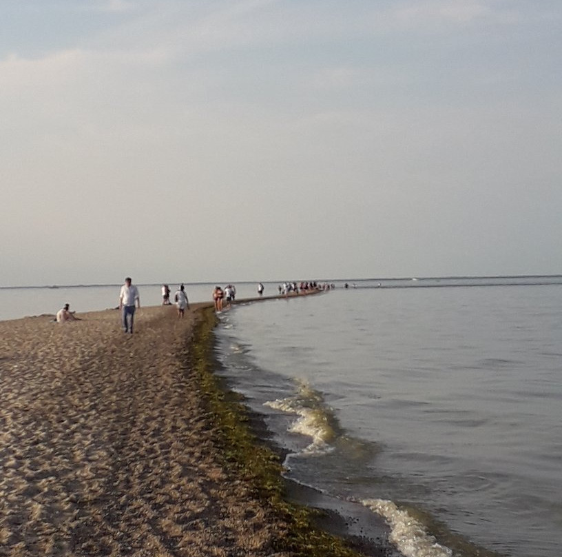 Beach in Rewa景点图片