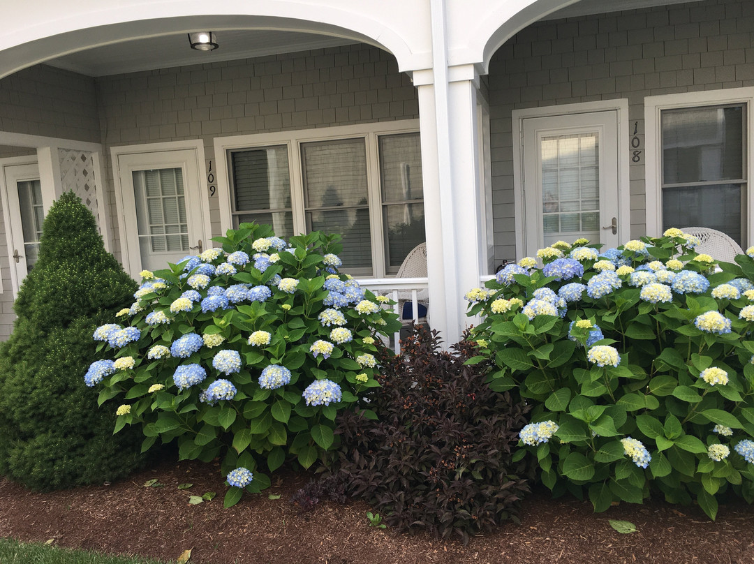 Pelham On Earle主图