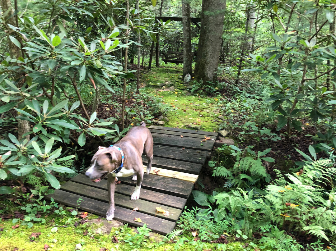 3B's Inn Bed Breakfast & Biscuits主图